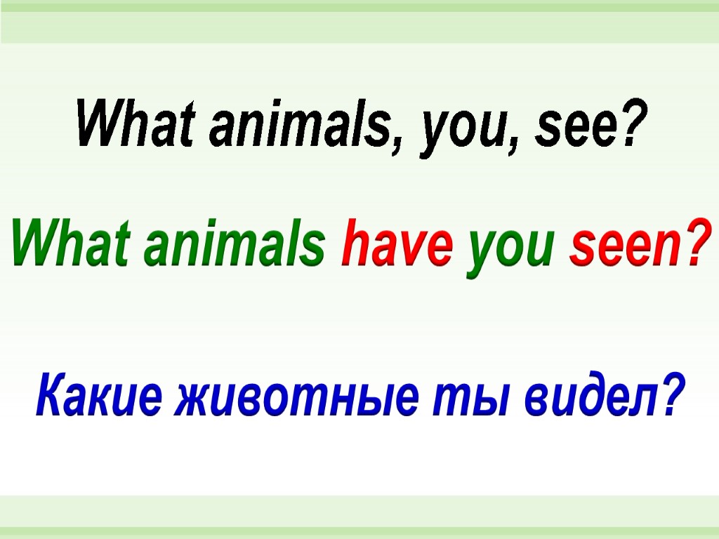 What animals have you seen? What animals, you, see? Какие животные ты видел?